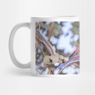 Crimson Rosella 03 Mug